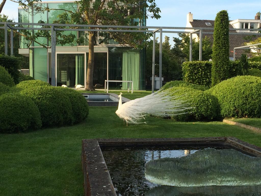マーストリヒト Hハウス アーキテクチュラル レジデンスゲストハウス 部屋 写真